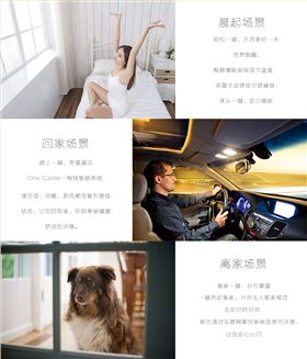 場景新風